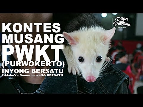 Pil paling aman untuk potensi Dimana untuk membeli wanita tetes patogen di apotek