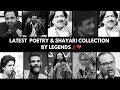 Latest Poetry Shayari Collection Urdu Shayari Collection Two Lines Poetry Rang E Ishq