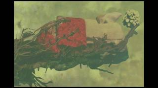 Music video thumbnail preview for mr. Gnome - Heave Yer Skeleton (Animated Teaser) by mr. Gnome