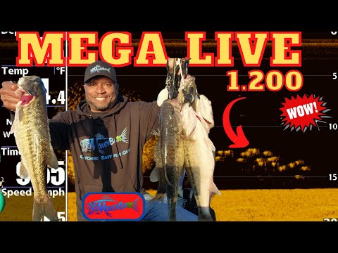 Mega Live 1.200 On the water at Lake Lanier! Clear Images!