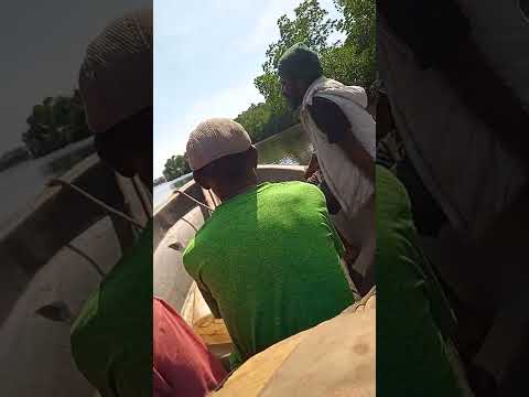 MY TRIP FROM BOGIA CROSSING MURIK LAKE TO WEWAK .