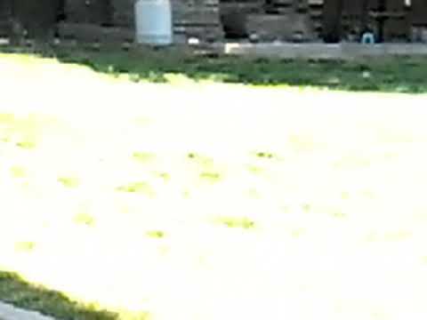 Marie-Claire Heinze Garten