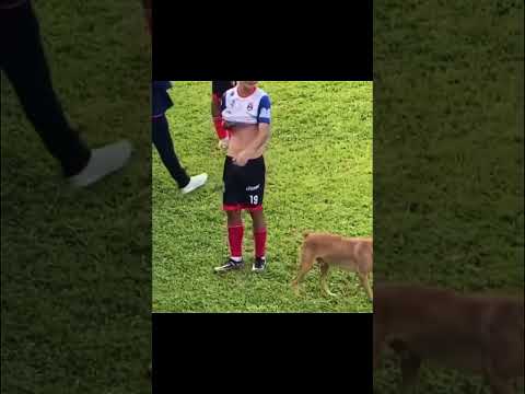 Os Craques Da Pelota.🔥...#futebolmeme #skills #futebol #futeboldevarzea #futebolbrasileiro