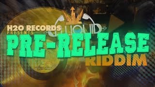 Version [Pre-Release Riddim - H2O Records] August 2012