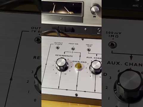 Behringer Spring 636 & Tape Delay on guitar #shorts #behringer #springreverb #guitareffects