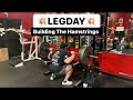 Leg Workout For Thick Hamstrings!