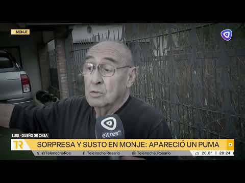 Sorpresa y susto por la aparición de un puma suelto en Monje