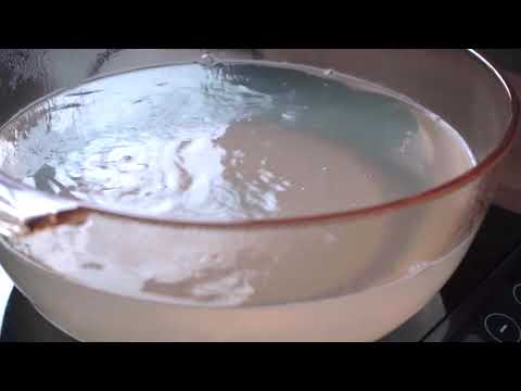 Coconut Jelly (3rd Edition)