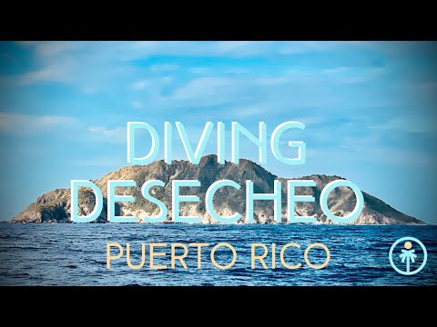 Diving Desecheo, The Uninhabited Island - Puerto Rico