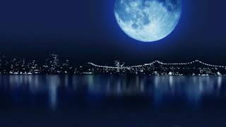 Blue Moon   Rod Stewart