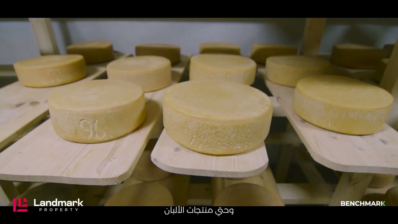 1️⃣ Where vision becomes reality — Landmark Property creates communities that stand out and thrive.