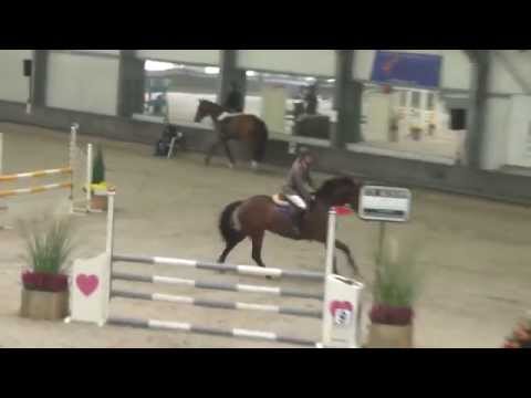 Early too (Carthino Z x Polydox) B spr Aalsmeer