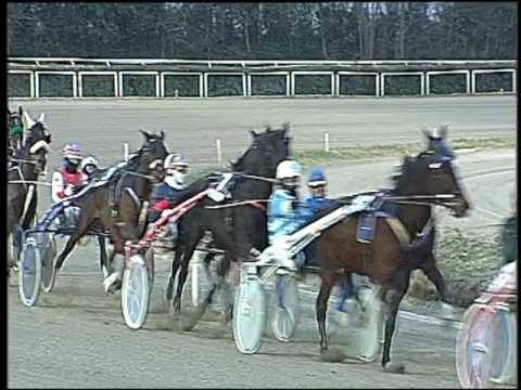 Trotto 10/01/2017 - 4ª corsa