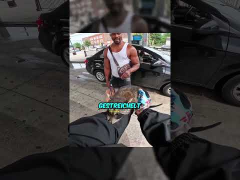 Ein Gangster nannte den Waschbären des Bikers eine Ratte 🦝