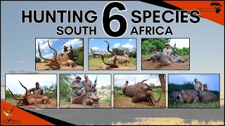 Hunting hippo and plains game in South Africa - 6 incredable species