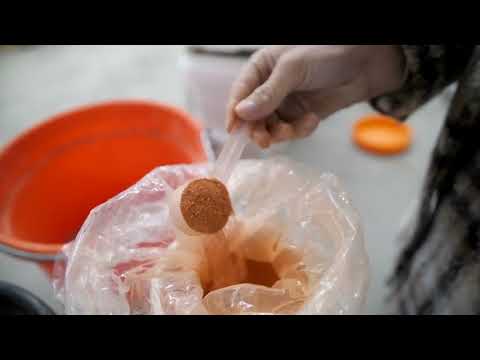 FullBucket | The Leaders in Horse Digestive Health