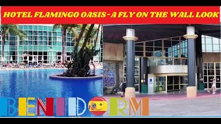 Benidorm's Hotel FLAMINGO OASIS - A FLY ON THE WALL LOOK!  🌊🌴🇪🇦🏢☀️🥂 #benidorm
