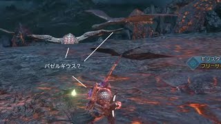 今日のバゼルギウス