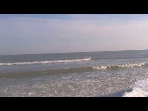 Sfantu Gheorghe - Delta Dunarii - 12.01.2017