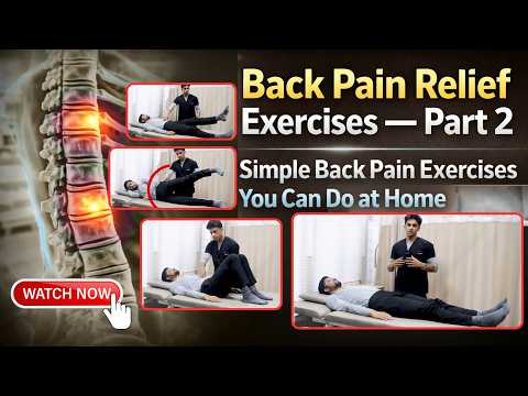 Back Pain Relief Exercises — Part 2 | Simple Back Pain Exercises You Can Do at Home