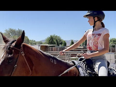 My First Horseback Riding Lesson EVER - Karolina Protsenko