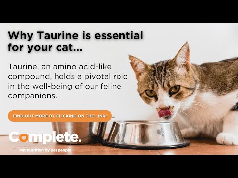 Why Taurine is Essential for Cats