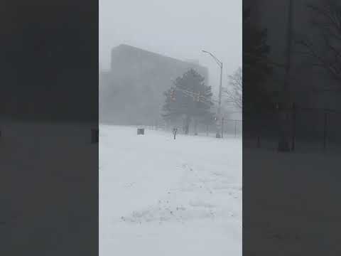 Blizzard 1/29/22- Boston, MA