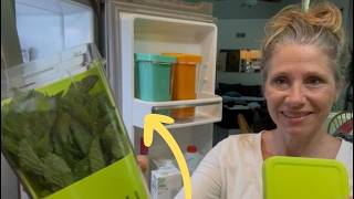 These Herb Keepers Keep My Herbs Fresh For a Suspiciously Long Time