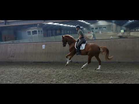 Selfie d. 19/08 Sezuan/QUATERBACK