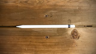 Apple Pencil Review: Worth The Money?