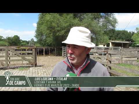 Luis Ledesma - remate de Ledesma y Arana - Viernes 11 de marzo de 2022 - Tandil