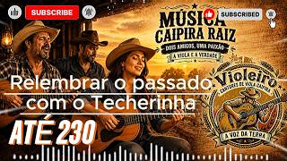 LEMBRANÇAS DA MUSICA RAIZ