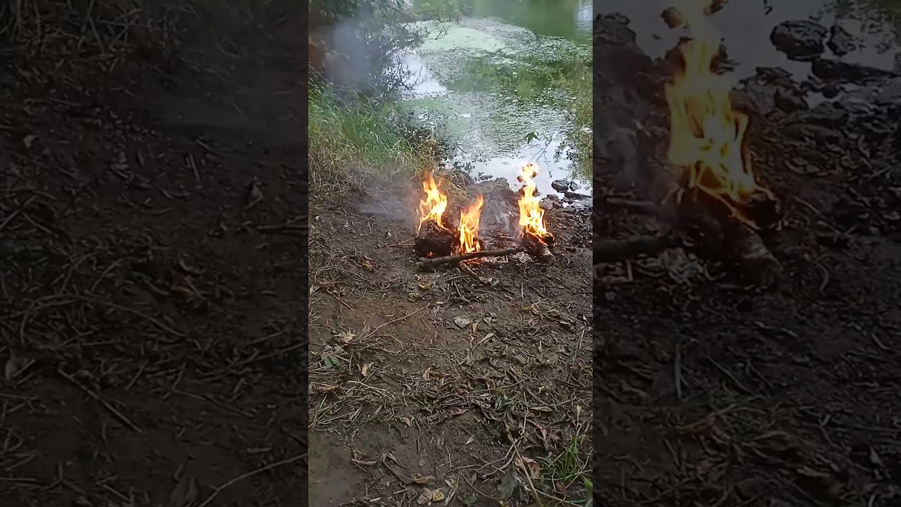 Прогулка, отжиг , красивый вид. 