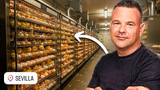 Thumbnail del capítulo