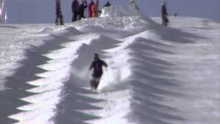 Freestyle Mogul Skiing