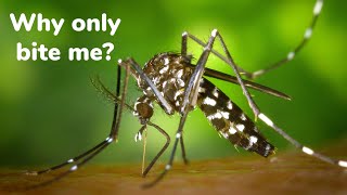 Why mosquitoes bite some people but not others? | Stop doing these and mosquitoes won't bite you