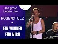 Rosenstolz - Ein Wunder für mich (Live from Leipzig Arena, Germany/2006)