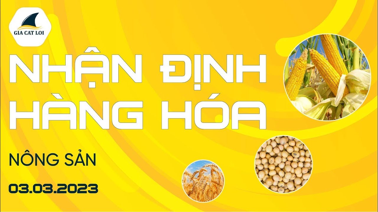 Nhận Định Hàng Hoá Nông Sản Ngày 03/03/2023