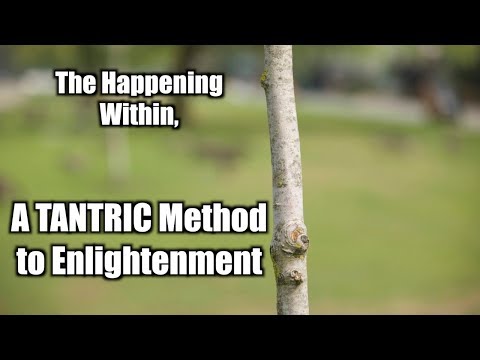 A Tantric Method to Enlightenment, Embrace the Grand Happening Within