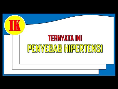 Kombucha impotensi Exciter kuda untuk harga laki-laki di apotek