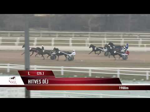 2018.02.17. 1. futam - HITVES DÍJ