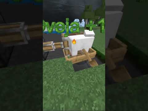 Torturar oveja Minecraft 🔥