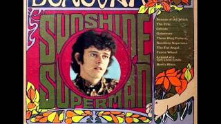 Celeste  by Donovan on 1966 Mono Epic LP.