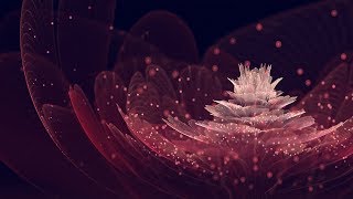 I (Can&#39;t) See You