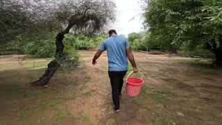 Featured Video