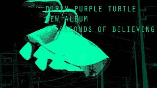 DIRTY PURPLE TURTLE - 21 SECONDS OF BELIEVING - TEASER #6