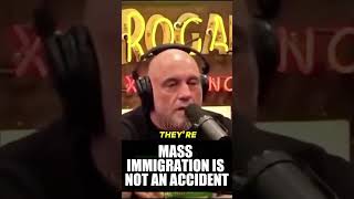 Joe Rogan: 