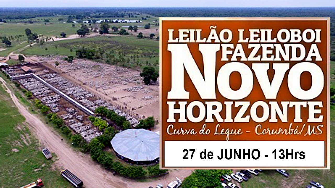 155º LEILÃO LEILOBOI FAZENDA NOVO HORIZONTE (27/06/2026)