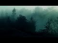 Bright Eyes - The Big Picture Lyrics - xxPrplhzxx Bright Eyes - The Big Picture Lyrics