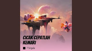 Download lagu Cicak cepatlah kemari mp3